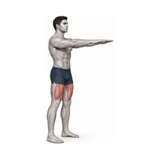 Bodyweight squat demonstration