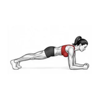 Up-down plank demonstration