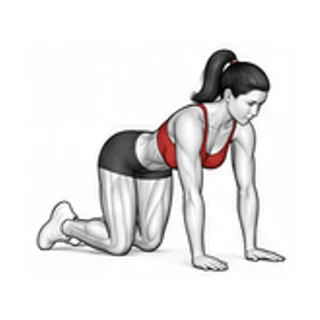 Kneeling shoulder tap movement illustration