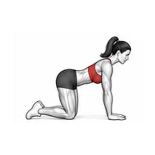 Quadruped leg extension movement illustration