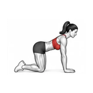 Quadruped knee slide movement illustration