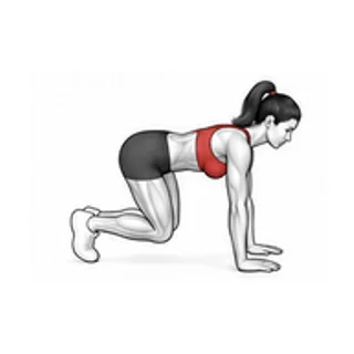 Bear leg extension movement illustration