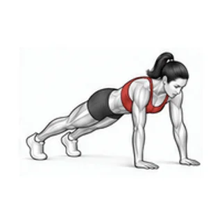 Spider plank knee drive movement illustration